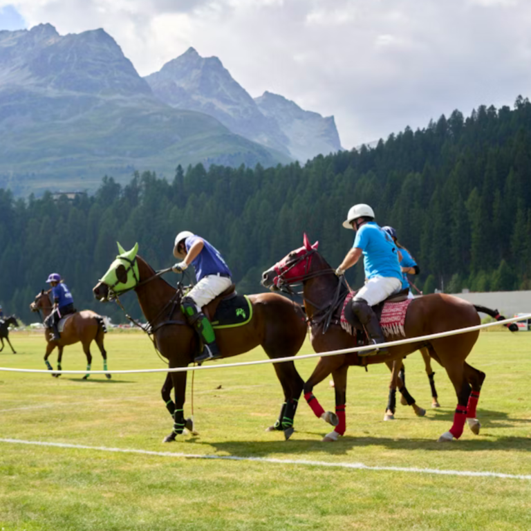 Horse Racing Terms