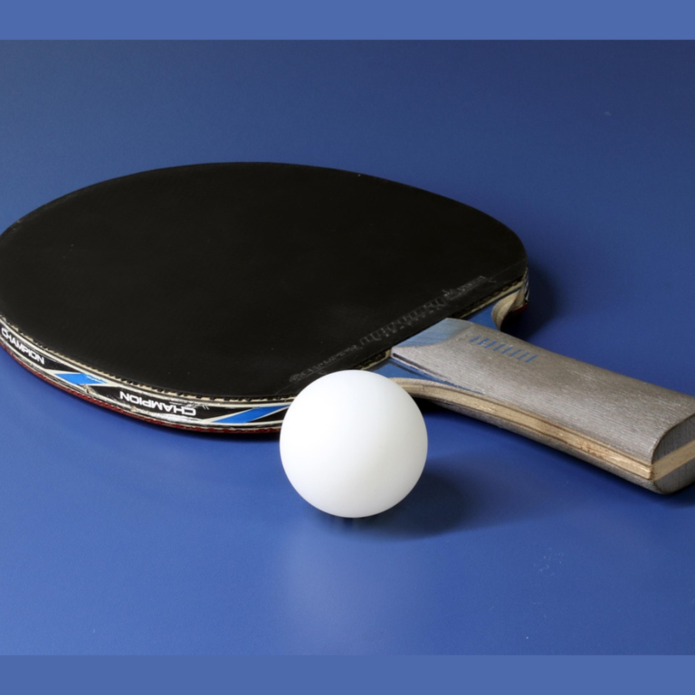 Ping Pong Tennis Table