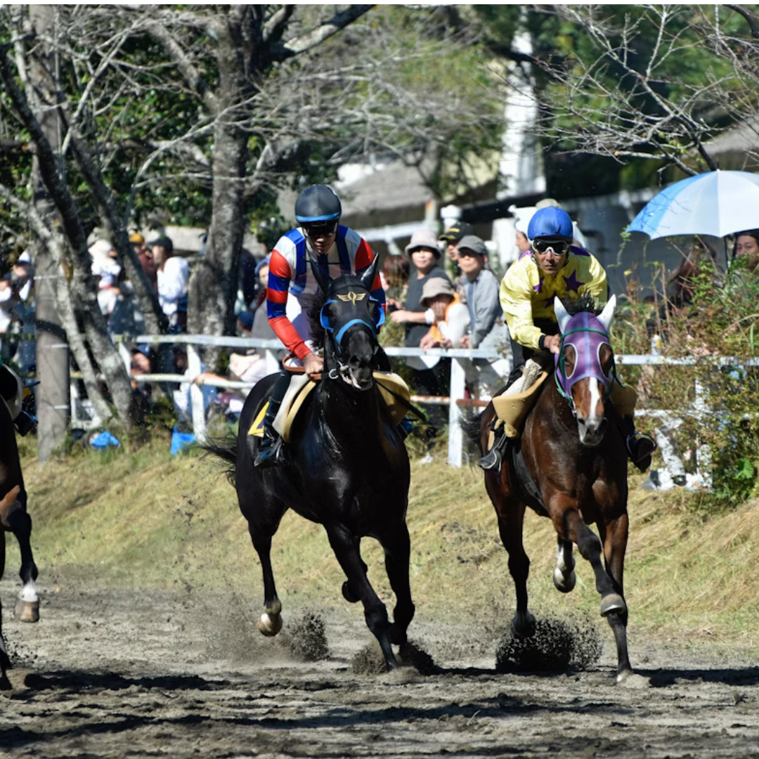 horse racing game