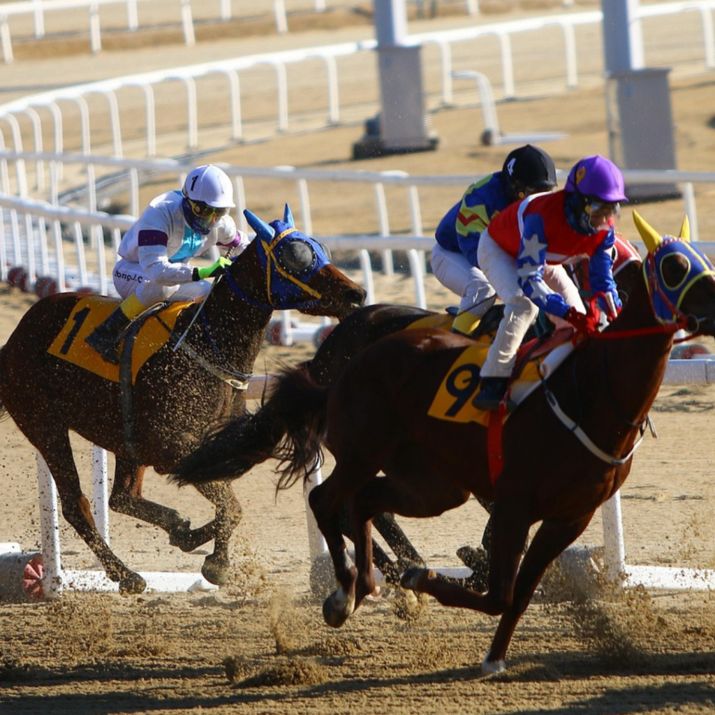 horse racing game board