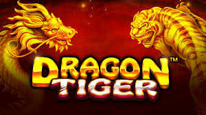 dragon tiger betting