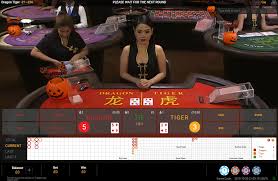 dragon tiger betting