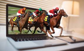 Horse Betting Online