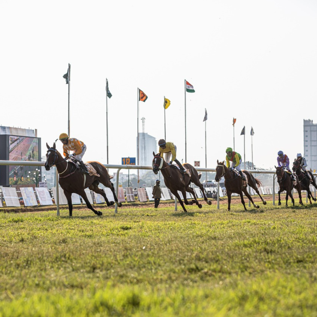 play horse racing online