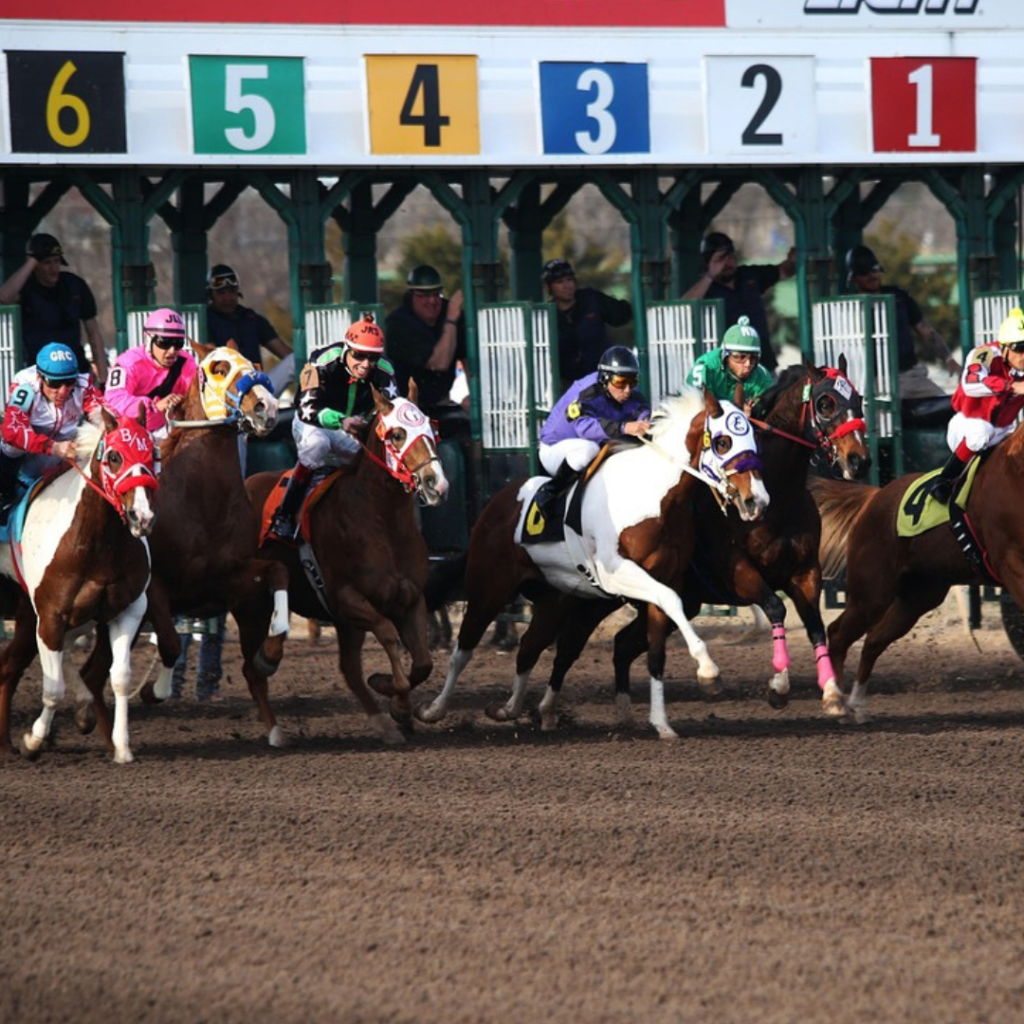Horse Racing Game Rules