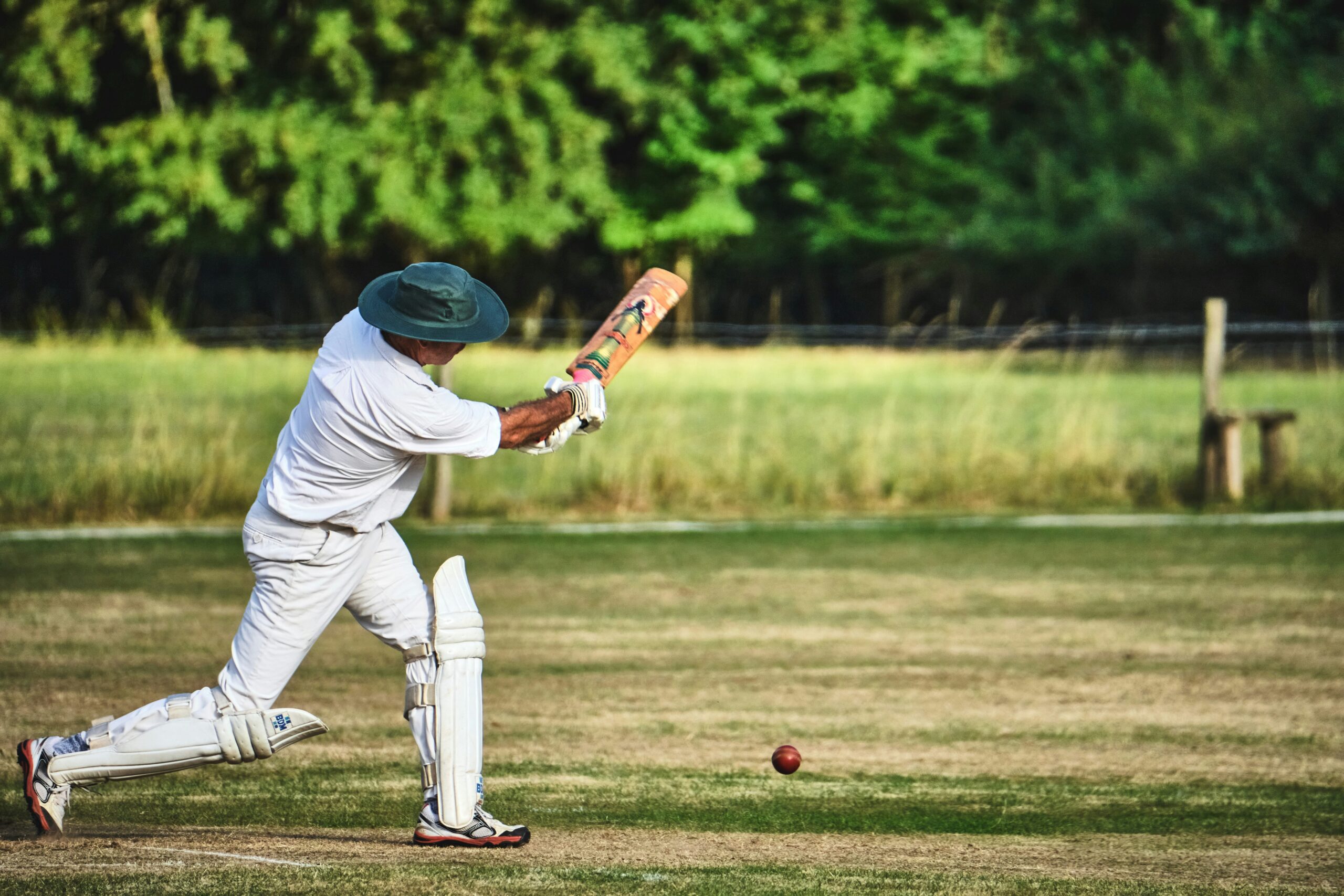 Live cricket betting India interface showing real-time odds and match updates