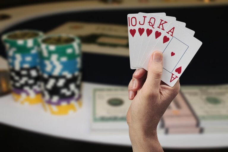 Dragon Tiger game interface for 1 Day format online