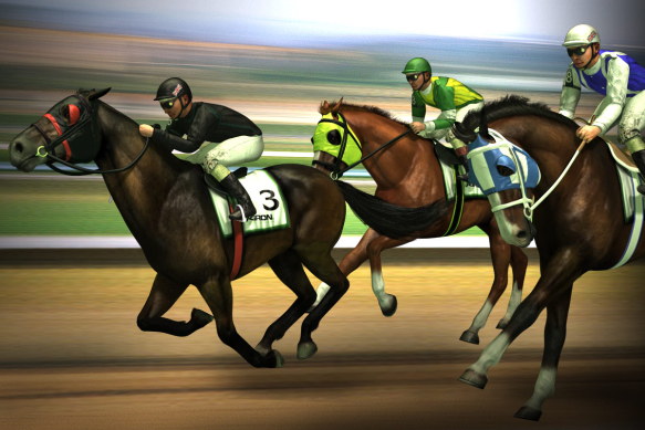 Horse Racing Betting Terms