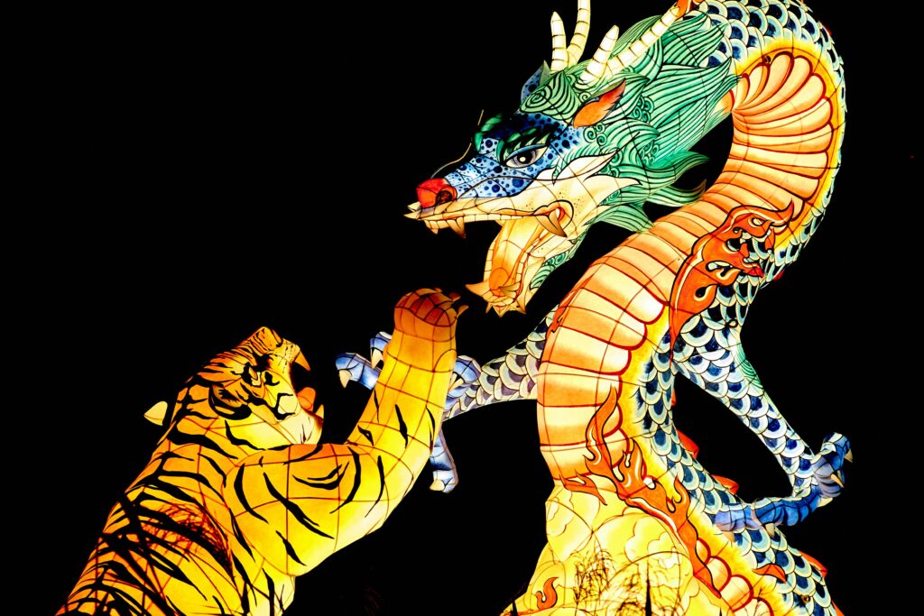 1 Day Dragon Tiger betting
