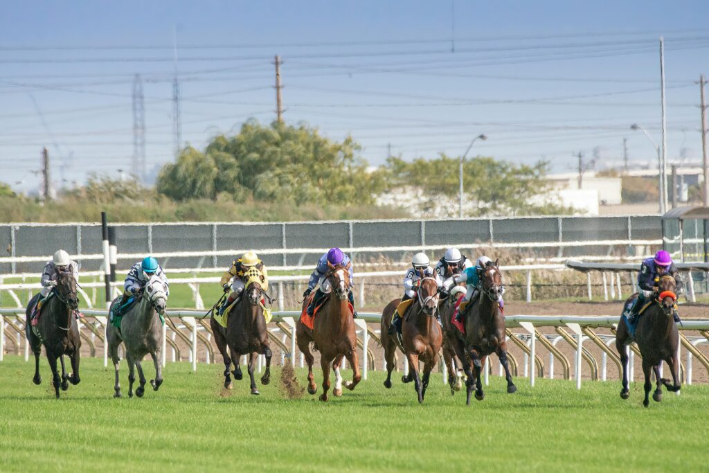horse racing betting India