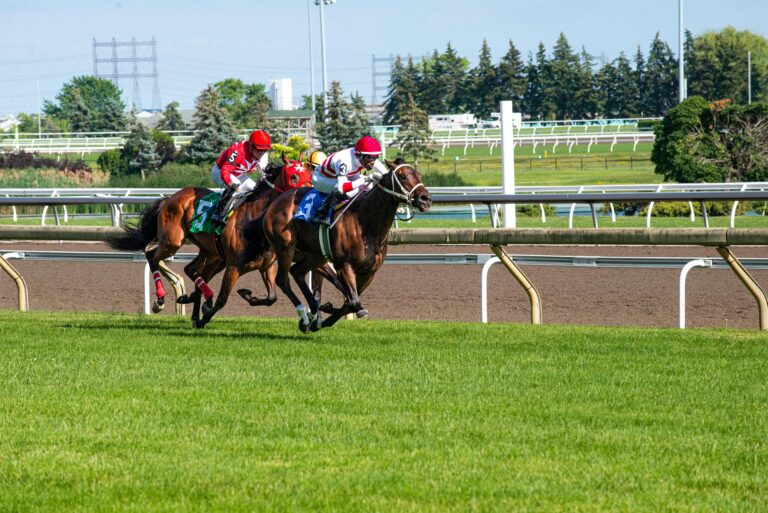 Best horse racing betting app India 11xgame interface