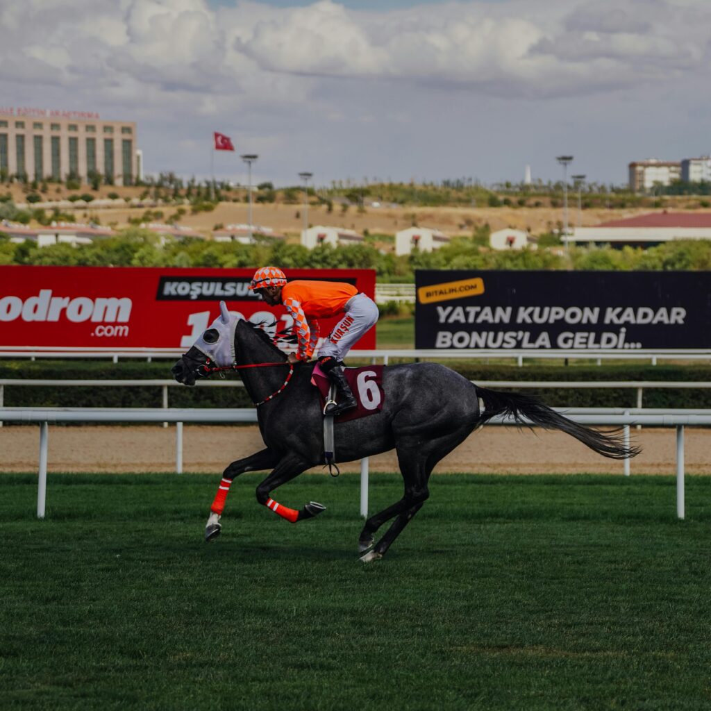 horse racing tips India