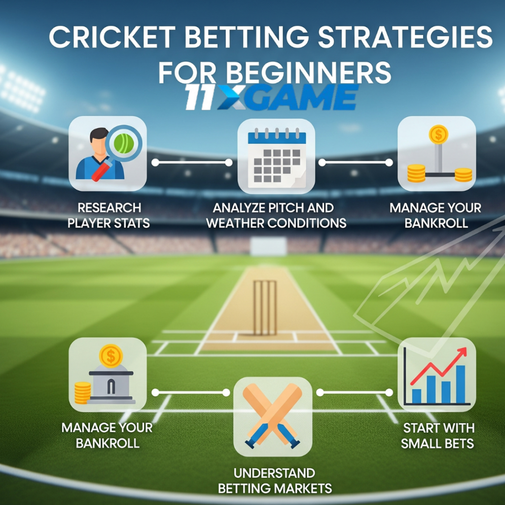 Cricket Betting Strategies for Beginners