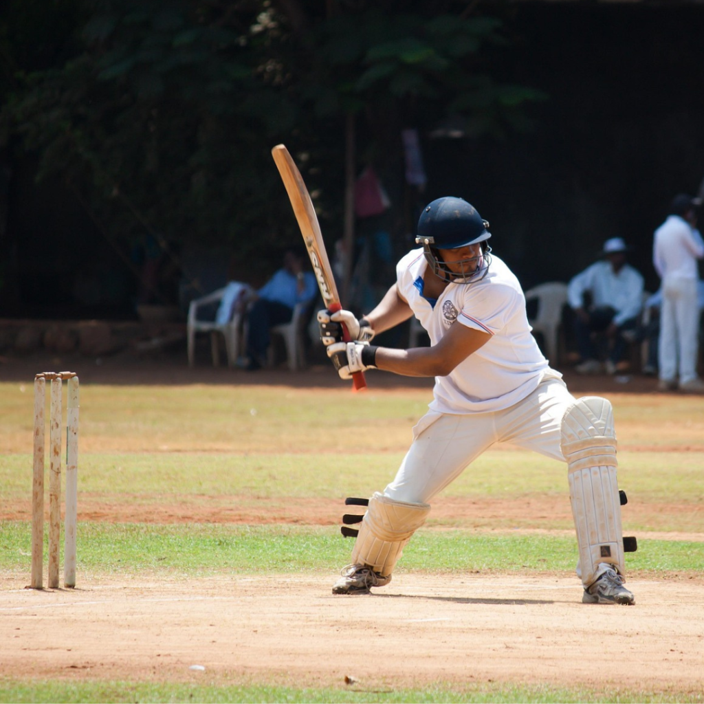 Cricket King 18