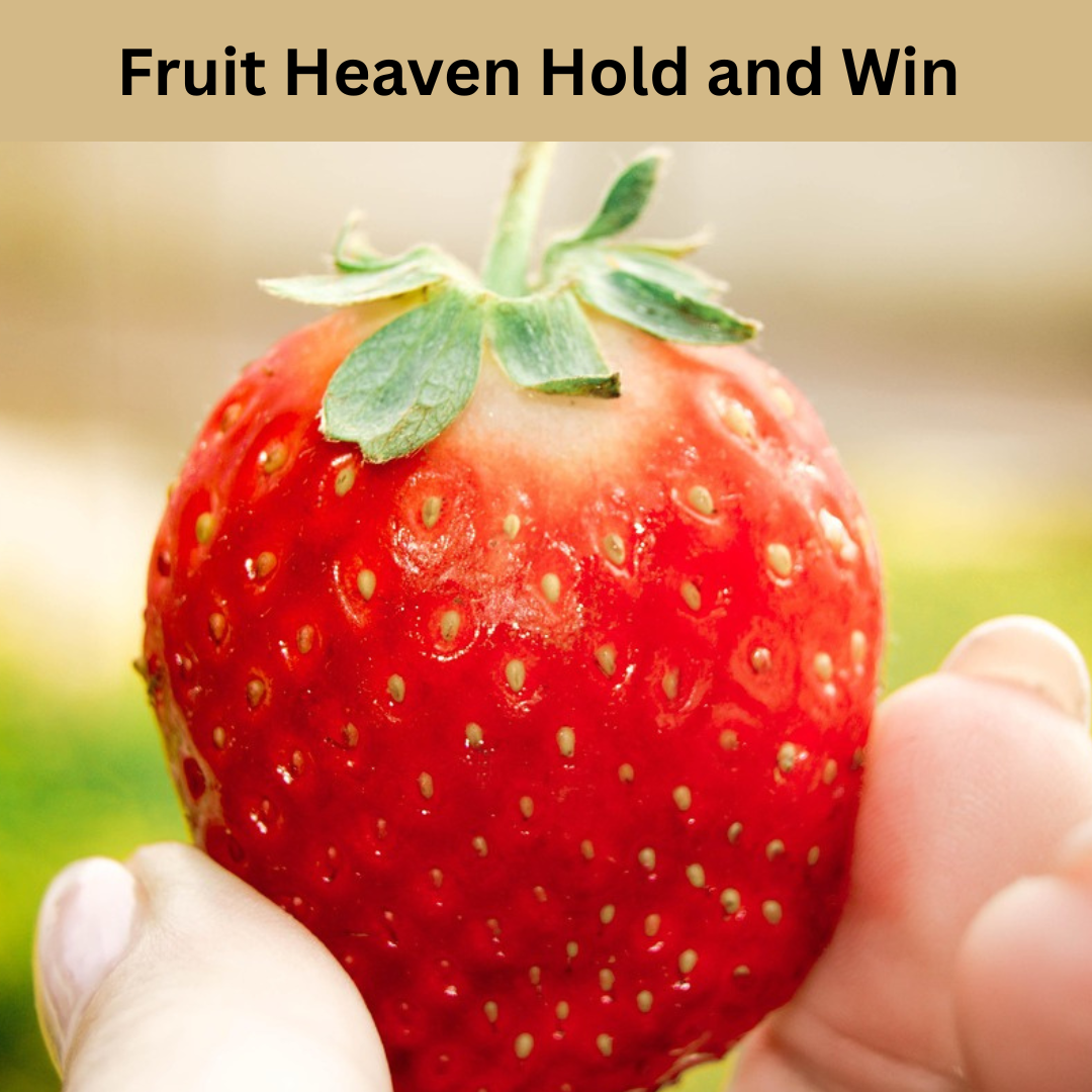 Fruit Heaven Hold and Win