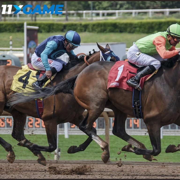 Horse betting tips for beginners