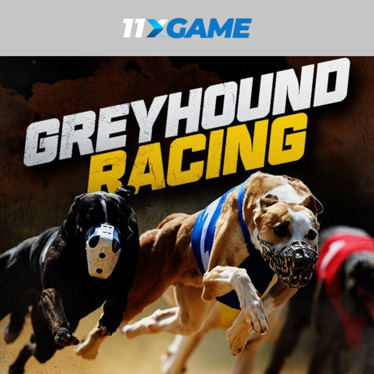 Online greyhound betting