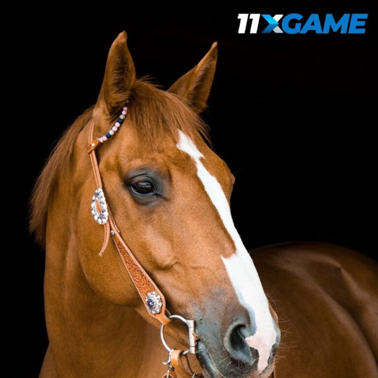 best platforms for horse racing betting