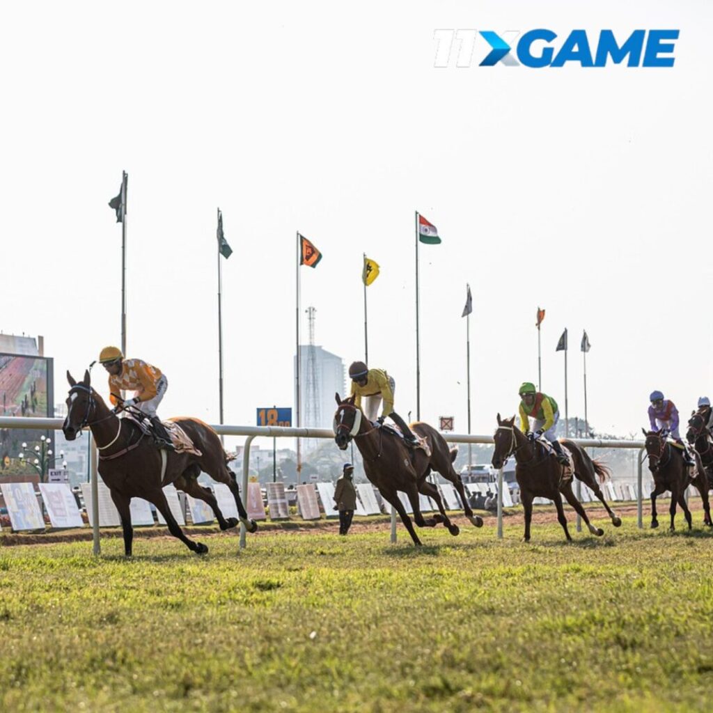 How to Bet on Horse Racing Online Step by Step