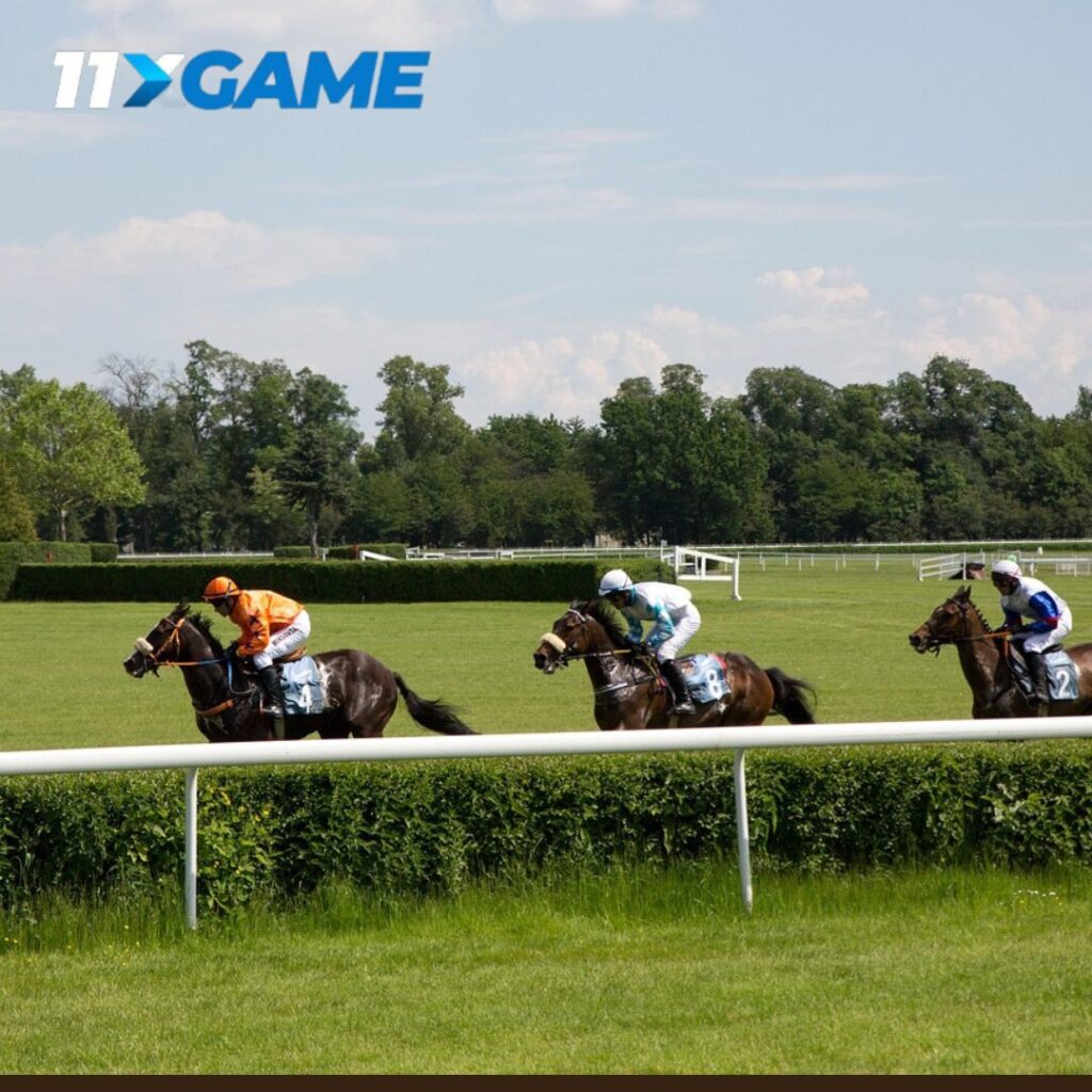 Online horse betting tips