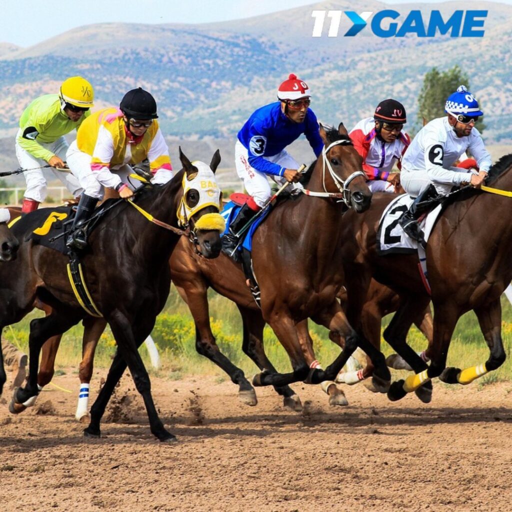 Horse betting for beginners