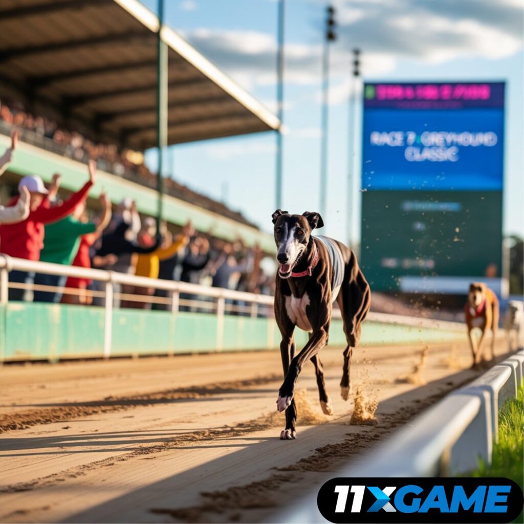 Race Betting Sites