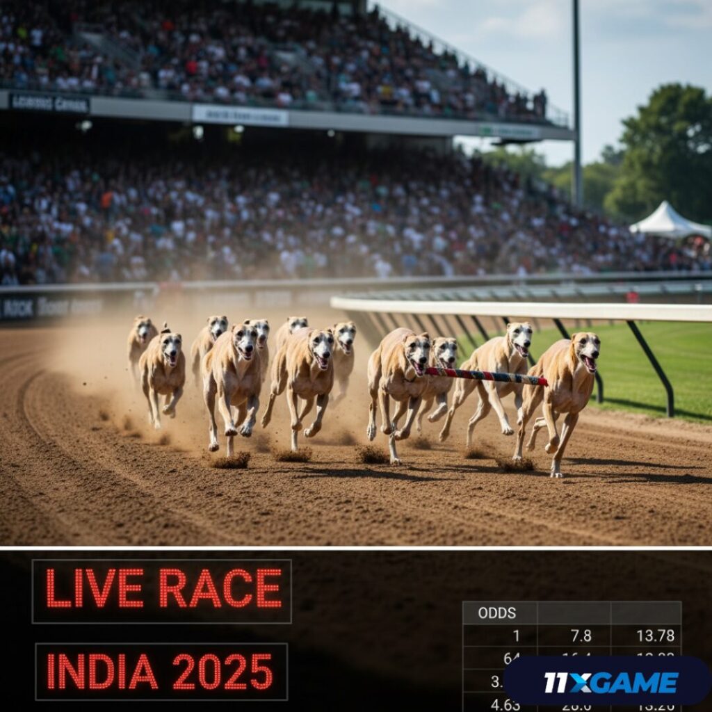 Live Greyhound Racing Guide for India
