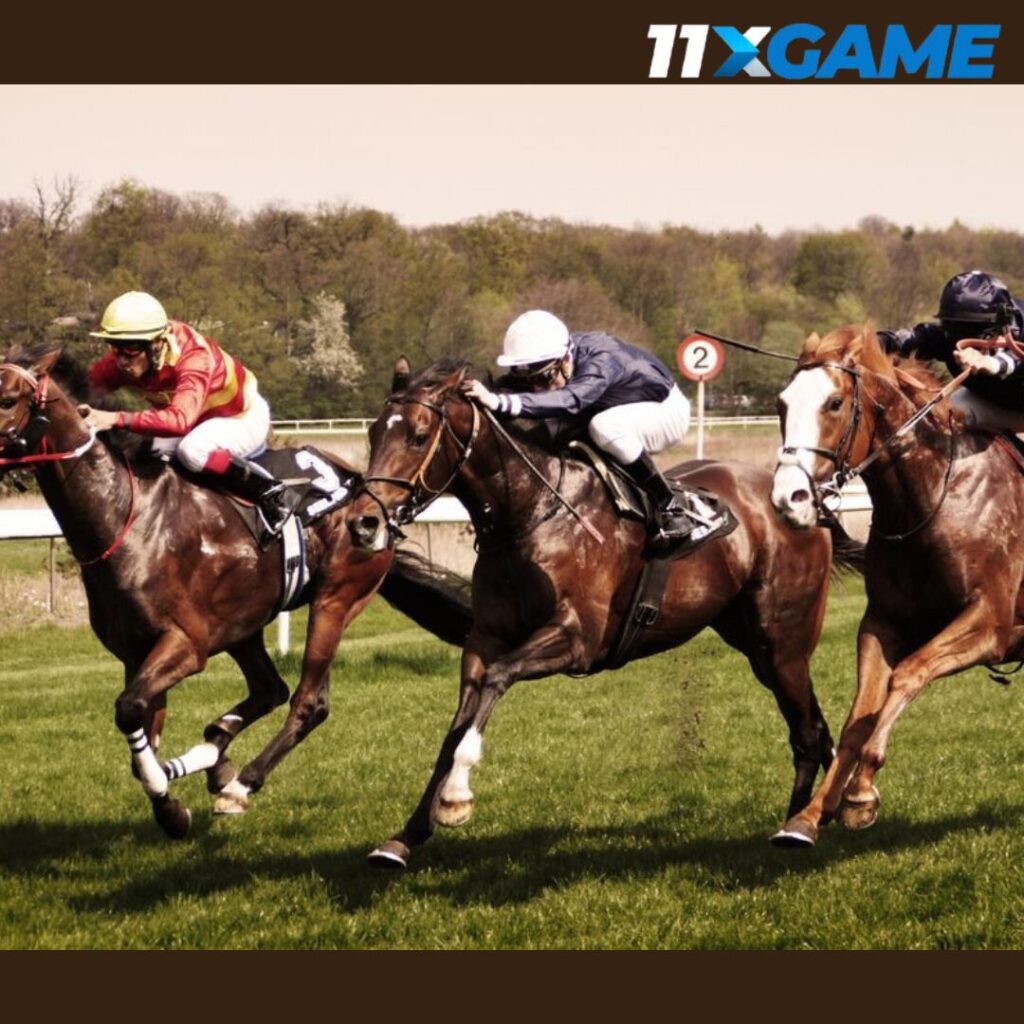 Horse Betting Strategies for Beginners 2025