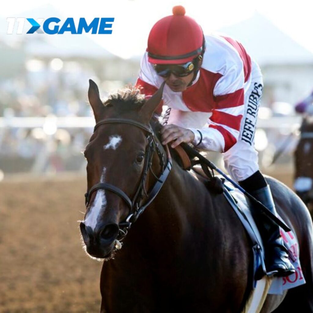 Beginner horse betting tips