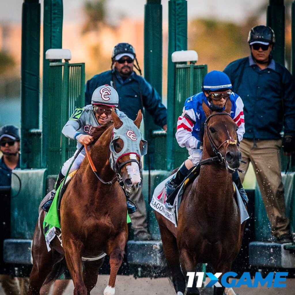 Online horse betting platforms